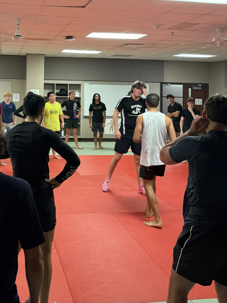 Jiu Jitsu photo