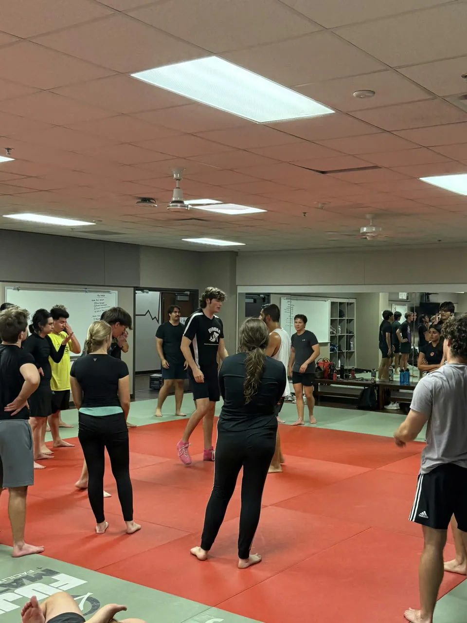 Jiu Jitsu photo