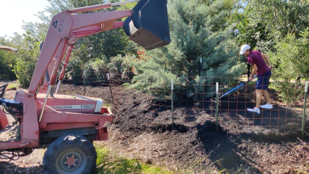 Rob and Davis Landscaping
